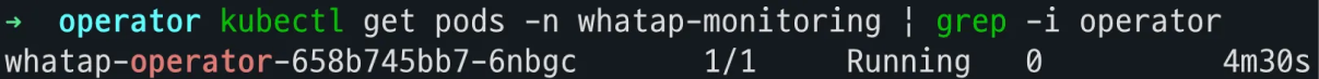 whatap-operator-pod